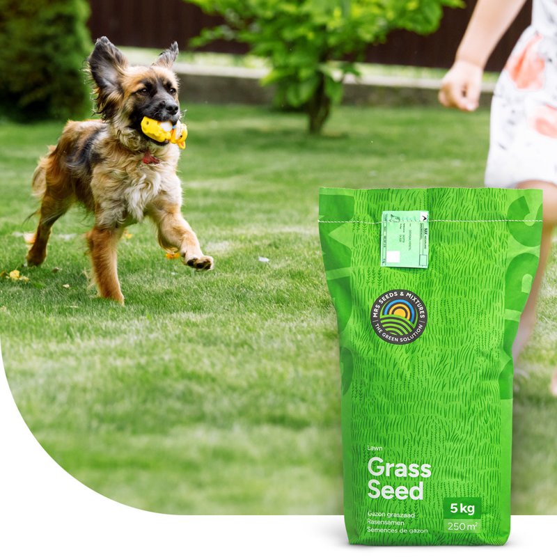 Play & Sport – Speel & Sportgazon Graszaad